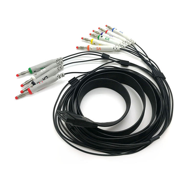 10 Leads Banana cable Schille ECG Holter Cable