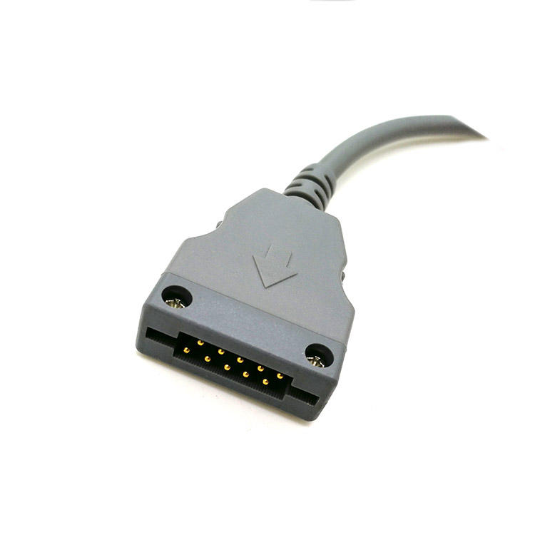 holter ecg cable 10 lead ECG holter cable for Beneware